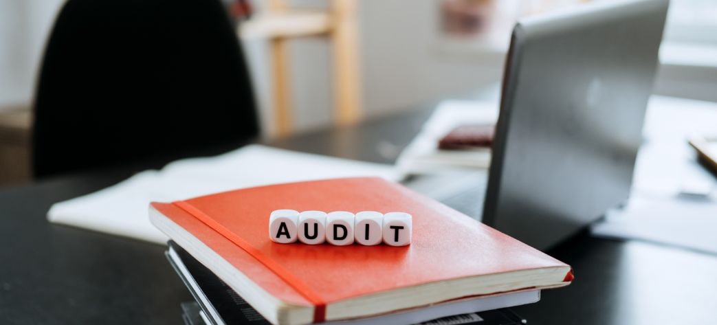 ¿Quién debe realizar un Programa de Auditoría?